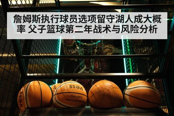 詹姆斯执行球员选项留守湖人成大概率 父子篮球第二年战术与风险分析